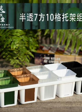 半透彩色7方多肉塑料花盆10格接水托架组合景天仙人球育苗播种植