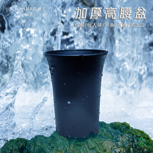 花一天堂加厚磨砂多肉万象花盆