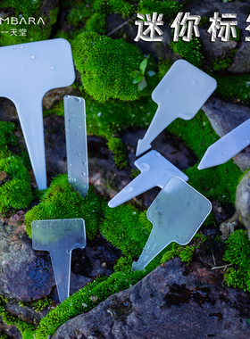 花一天堂加厚多肉迷你标签插牌T型花卉种植播种育苗防水标记识牌