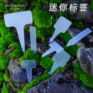 花一天堂加厚多肉迷你标签插牌T型花卉种植播种育苗防水标记识牌