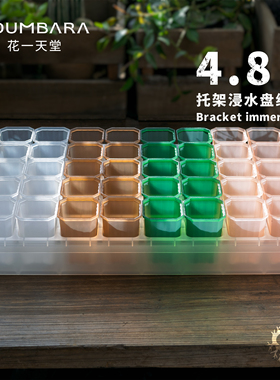 花一天堂4.8口高方多肉花盆40格透明托架浸水盘组合阳台控养育苗