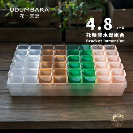 花一天堂4.8口高方多肉花盆40格透明托架浸水盘组合阳台控养育苗
