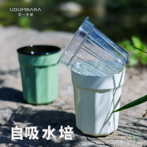 花一天堂自吸水懒人水培花盆