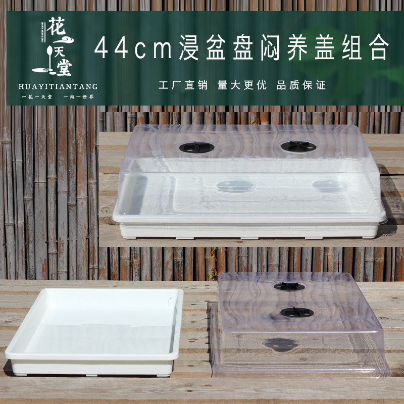 新品多肉植物花盆浸盆实心存水周转盘托架组合长方形闷养箱方盆盘