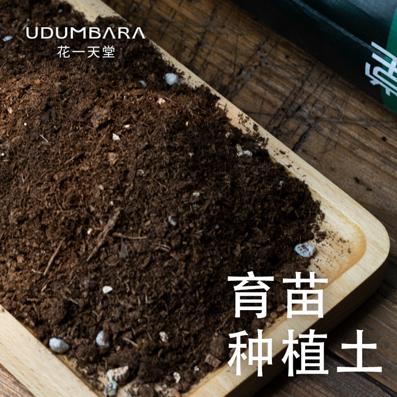 花一天堂多肉专用营养土种菜种花通用种植土园艺盆栽育苗土播种土,鲜花速递/花卉仿真/绿植园艺,介质/营养土,淘宝优惠券,粉丝福利购,淘宝优惠卷