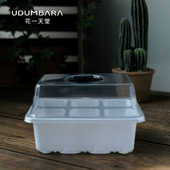 带透明盖 12格种植种苗种子繁殖培育保温盒子 带透气孔育苗盒 6格