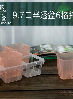 9.7口径半透彩方多肉塑料花盆6格接水托架蝴蝶兰桌面绿植育苗播种