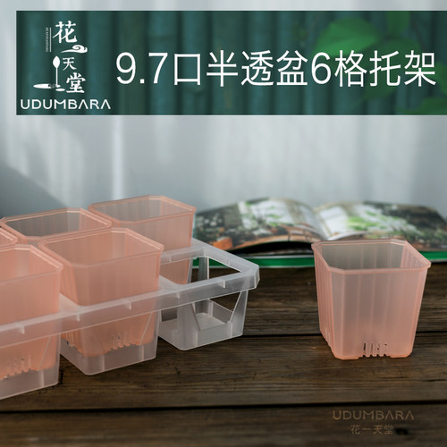 9.7口半透彩方6格托架组合
