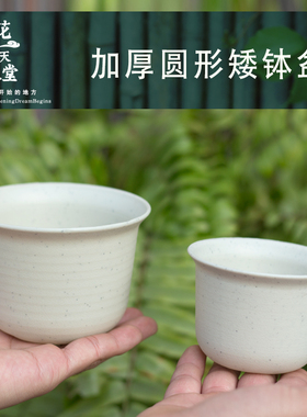 加厚多肉植物矮钵花盆景天pp块根蝴蝶兰花卉绿植育苗播种盆栽耐用