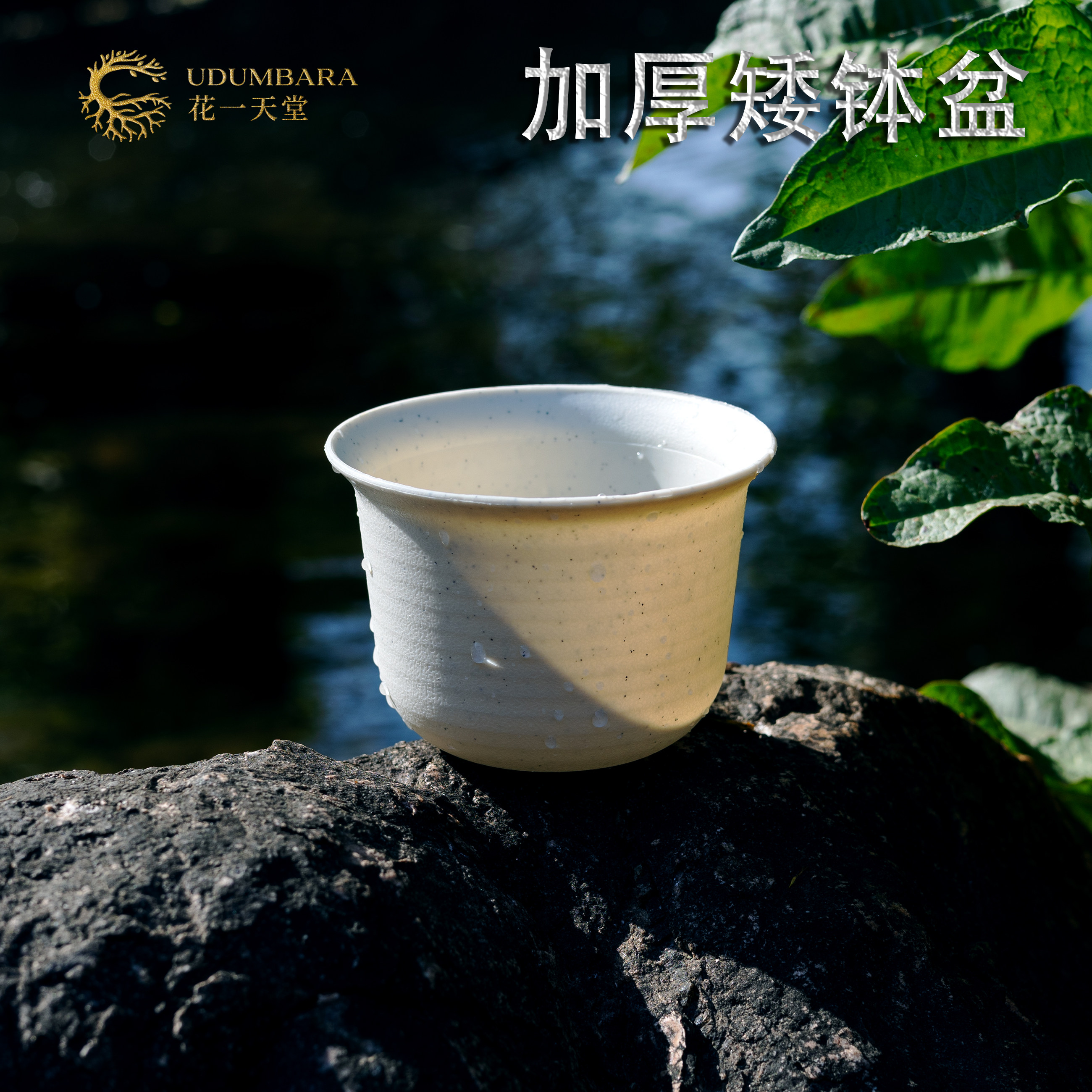 加厚多肉植物矮钵花盆图片