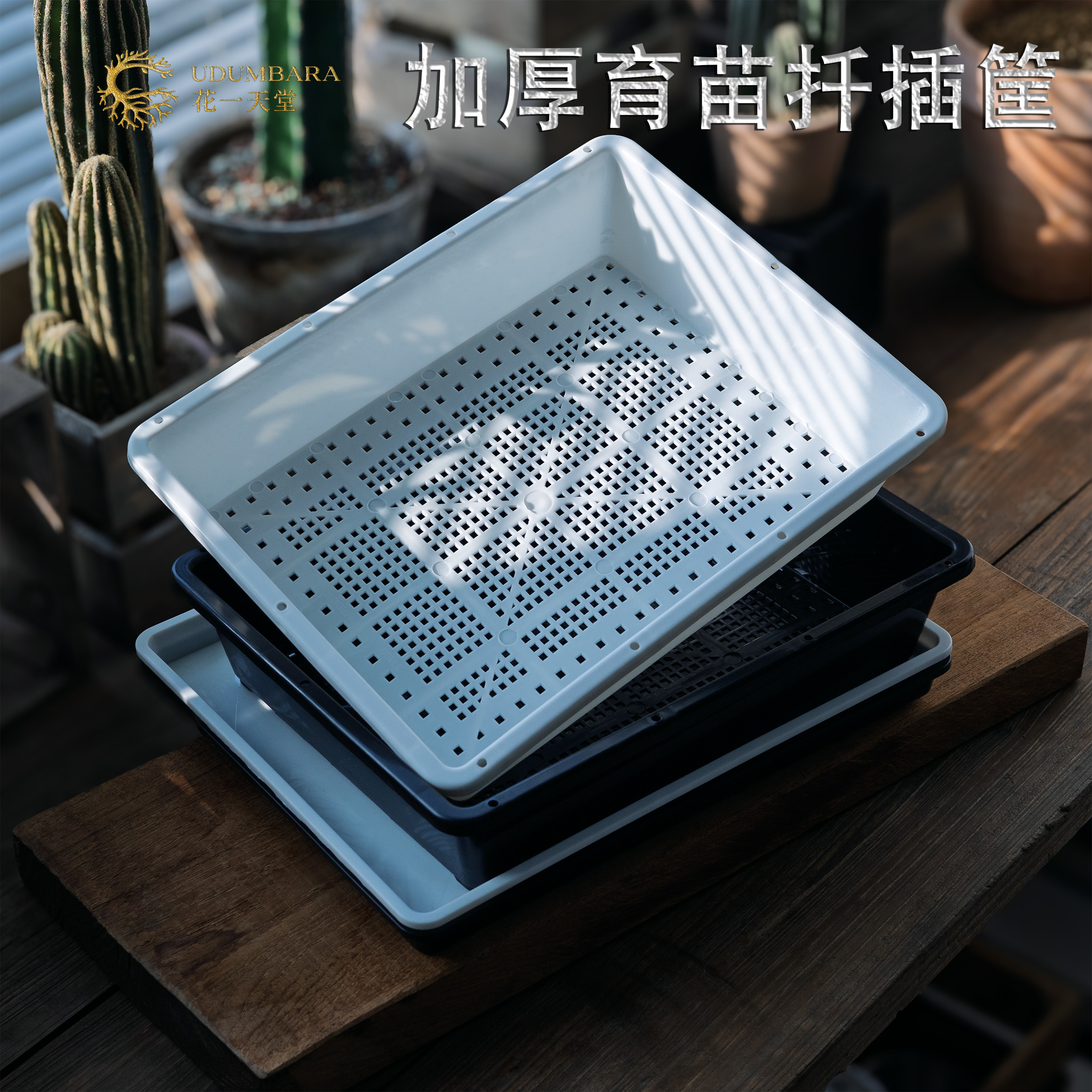 花一天堂加厚塑料多肉花卉育苗盘筐育苗叶插播种生石花种植盆闷养