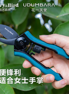 Berry&Bird多肉花剪园艺剪刀修枝剪家用热绿植盆栽花艺剪插花省力