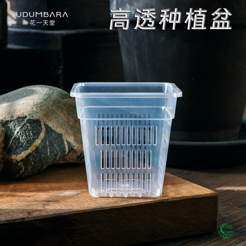 花一天堂高透蝴蝶兰种植花盆