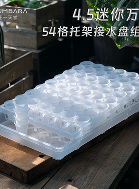 花一天堂迷你4.5cm多肉万象盆塑料54格托架接水盘闷养育苗精控养