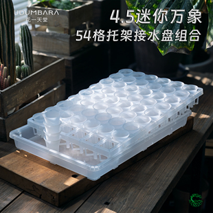 花一天堂迷你4.5cm多肉万象盆塑料54格托架接水盘闷养育苗精控养