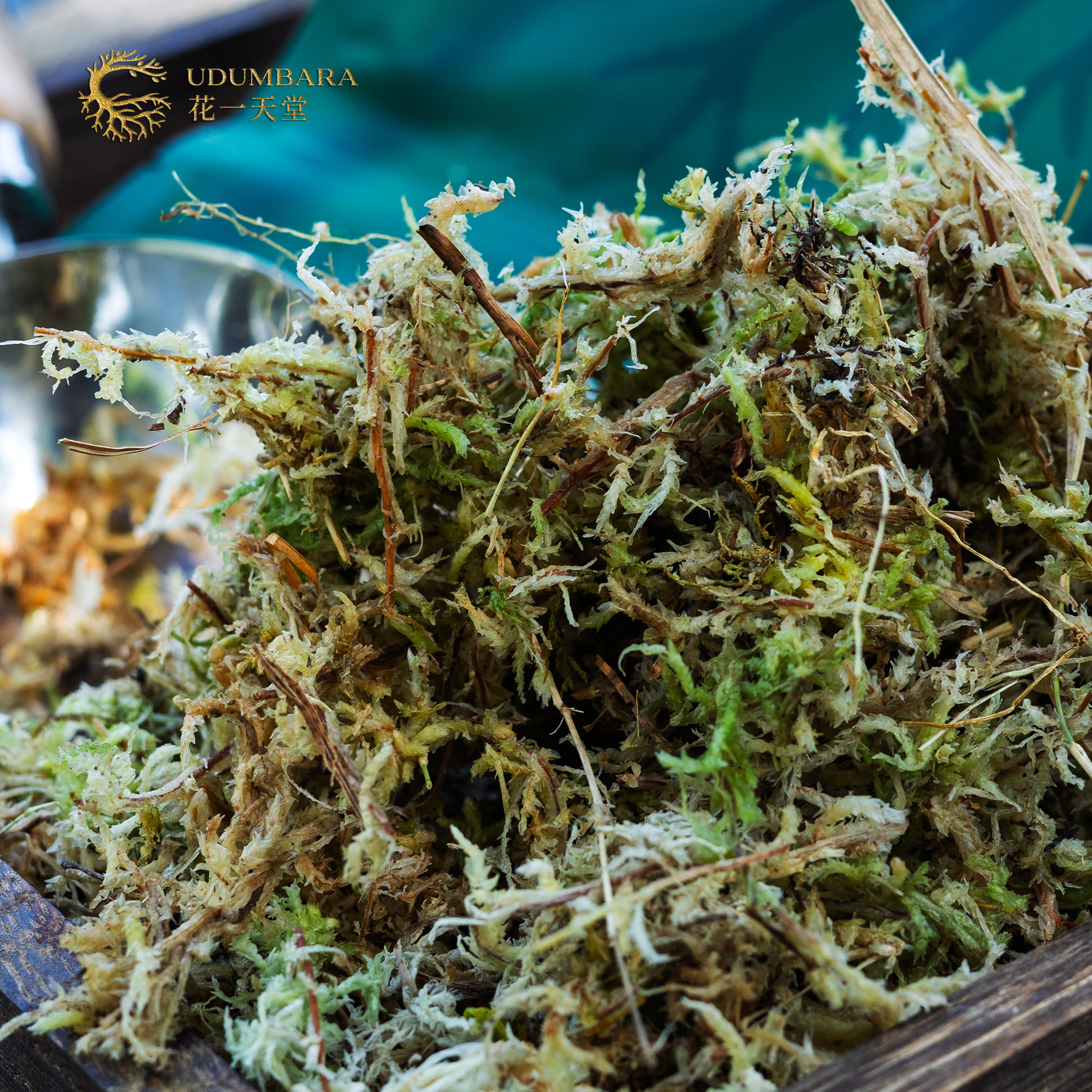 花一天堂干水苔蝴蝶兰专用土苔鲜石斛花植物栽培保湿透气龟宠垫材