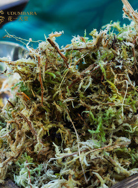 花一天堂干水苔蝴蝶兰专用土