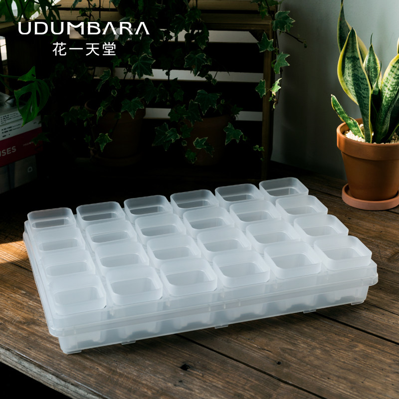 花一天堂全透6.5口径塑料花盆托架浸盆盘多肉锥阳台控养育苗扦插