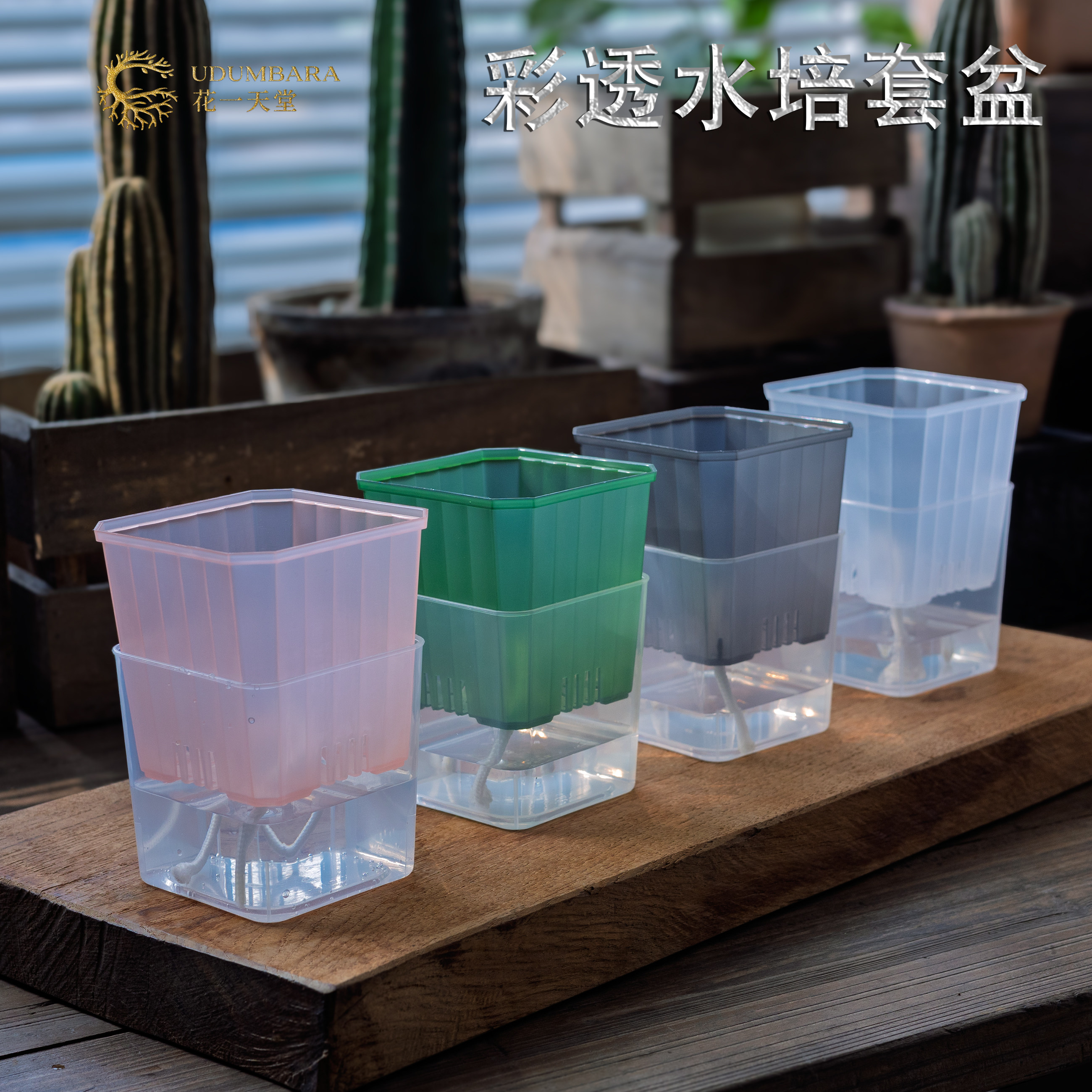 花一天堂彩透塑料方花盆水培套盆多肉蝴蝶兰秋海棠热植懒人种植盆