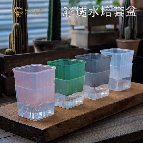 花一天堂彩透塑料方花盆水培套盆