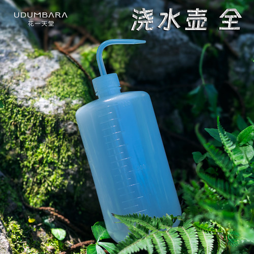 花一天堂多肉挤压式弯嘴浇水壶