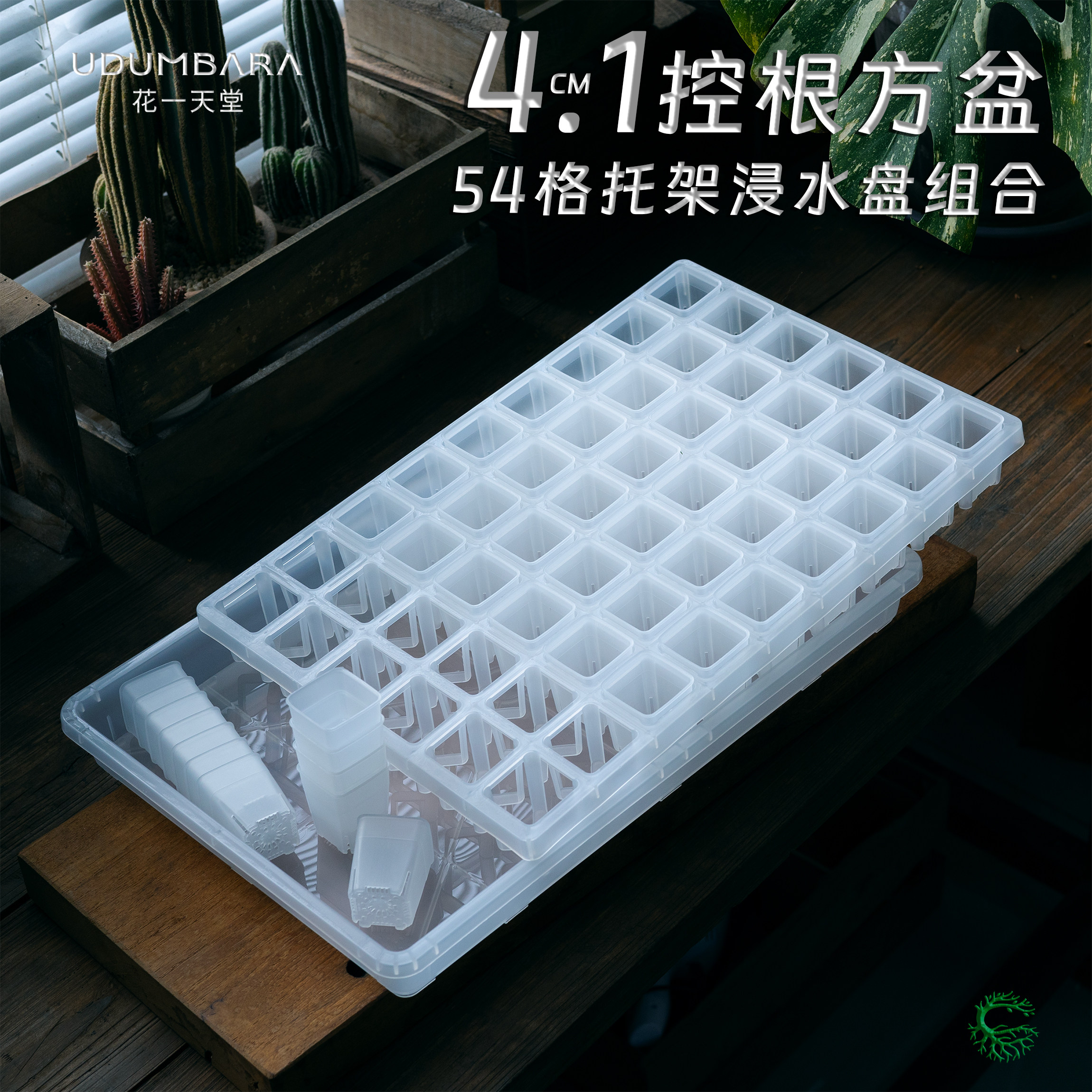 花一天堂4.1口径方盆托架盘组合图片