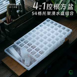 花一天堂4.1口径多肉控根方盆54格托架浸水盘闷养盖育苗播种控养