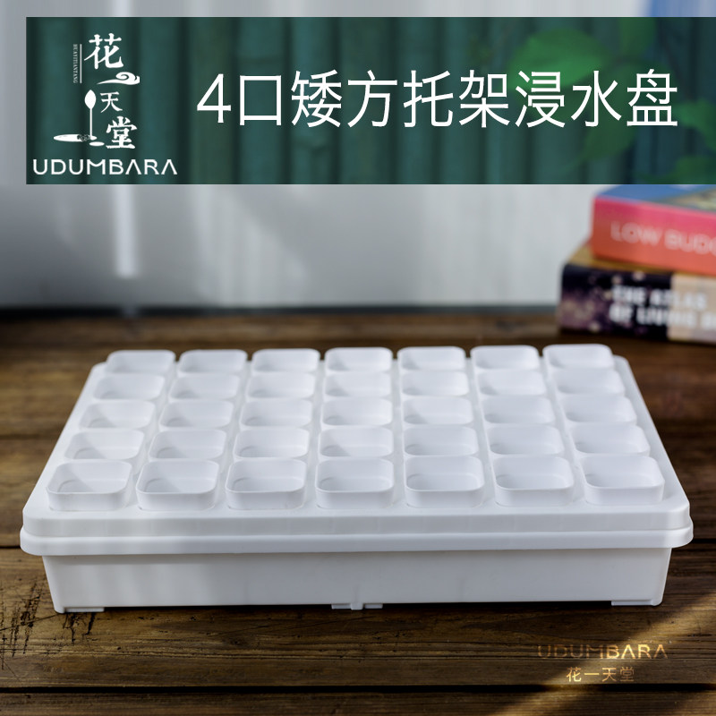 迷你4口径多肉控养矮方盆塑料托架浸水盘阳台种菜肉锥育苗播种盘