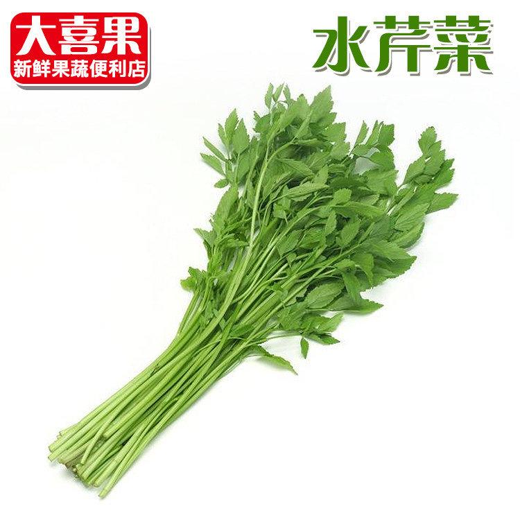 野味新鲜蔬菜大叶芹野水芹菜野菜新鲜水芹菜新鲜沟芹半斤