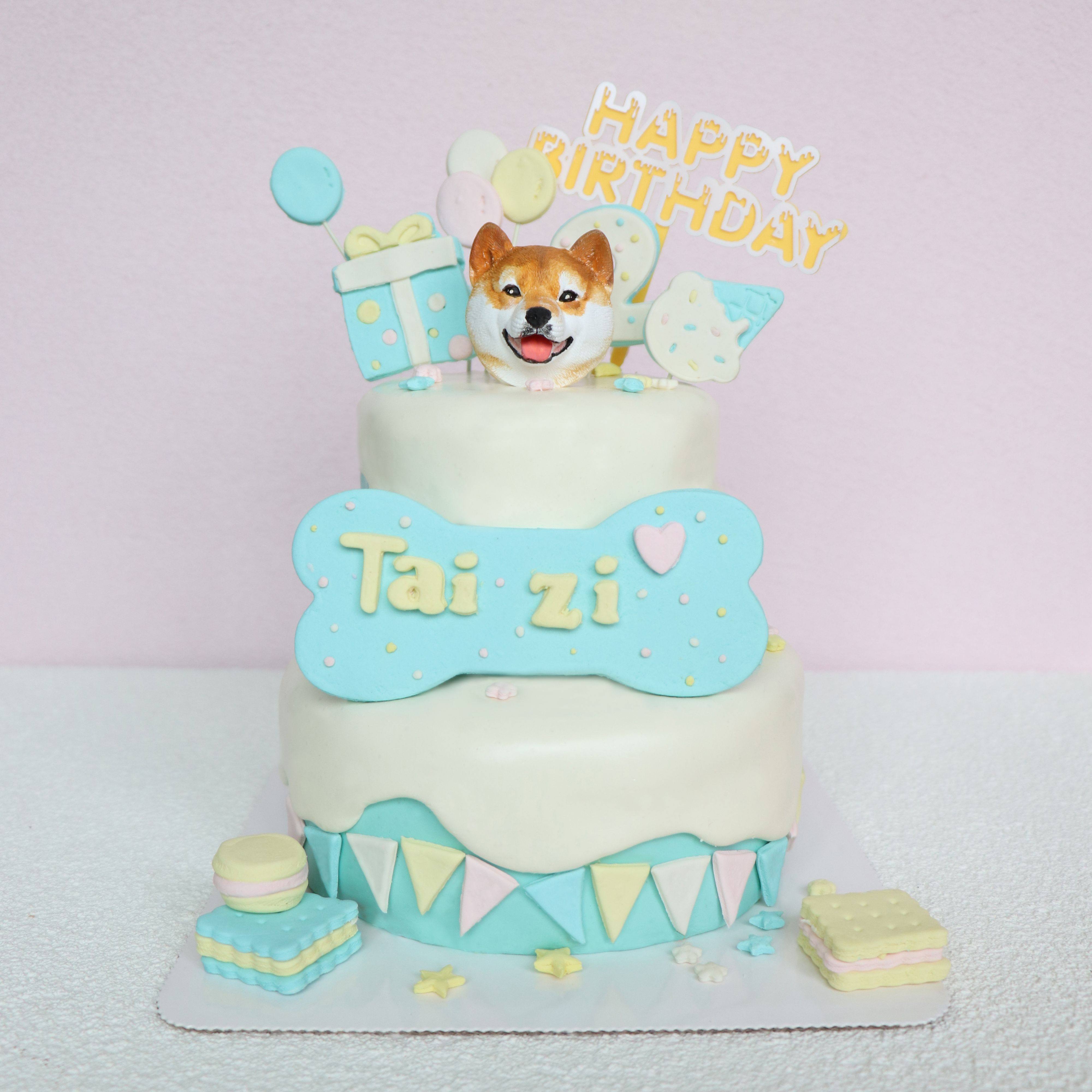 宠物狗狗猫咪生日蛋糕定制头像纯肉无添加零食泰迪比熊雪纳瑞柯基,宠物/宠物食品及用品,狗风干零食/肉干/肉条,淘宝优惠券,粉丝福利购,淘宝优惠卷