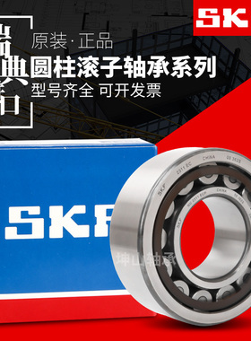 进口SKF轴承NJ NU NUP213 214 215 216 217 218 219 220 221 222E