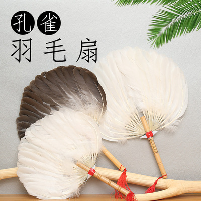 蒲扇遛娃羽毛扇子鹅毛扇古风