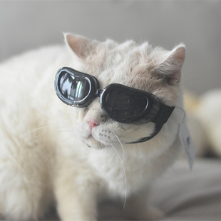 夏日宠物眼镜狗狗护目镜柯基泰迪太阳镜猫狗墨镜法斗边牧宠物眼镜