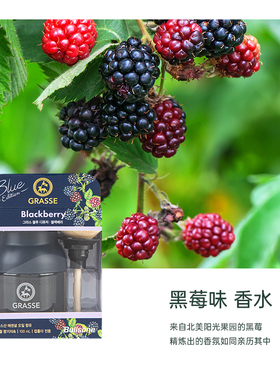 男士女士高档品牌车载香水grasse蓝瓶木珠汽车香水香氛持久淡香