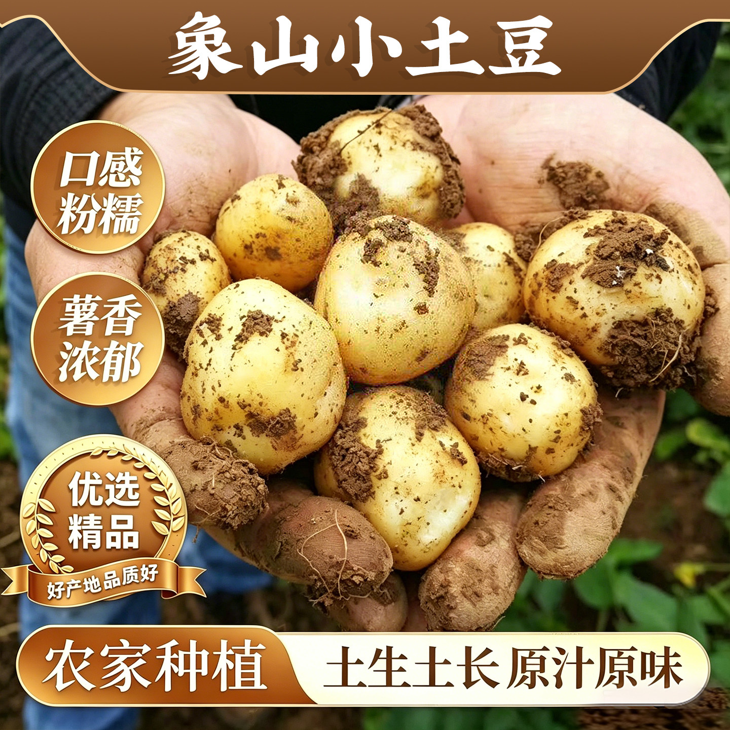 2026浙江象山现挖小土豆新鲜黄心洋芋迷你马铃薯高山土豆农家自种