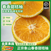 顺丰直达正宗象山春香甜橘柚新鲜水果柚子甜心柚黄金柚新品 种柑橘