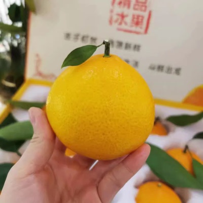 象山特产新鲜黄美人柑橘68号果冻橙爱媛蜜桔新鲜水果产地直发5斤