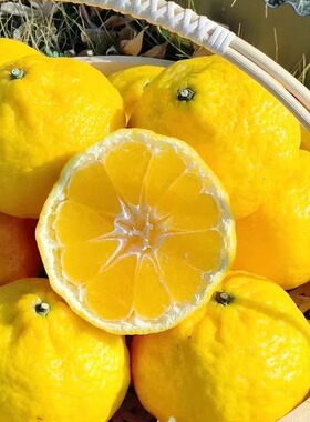 象山特产绿美人蜜桔媛小春薄皮橘子爱媛32号新鲜柑橘大棚爆甜水果