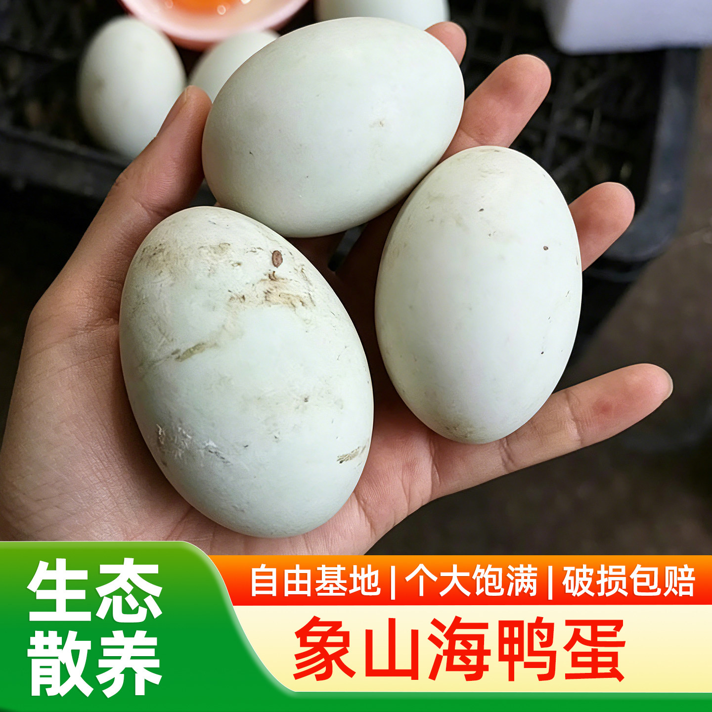 象山海边散养每日新鲜现检海鸭蛋原生态土特产30枚鲜鸭蛋自产自销