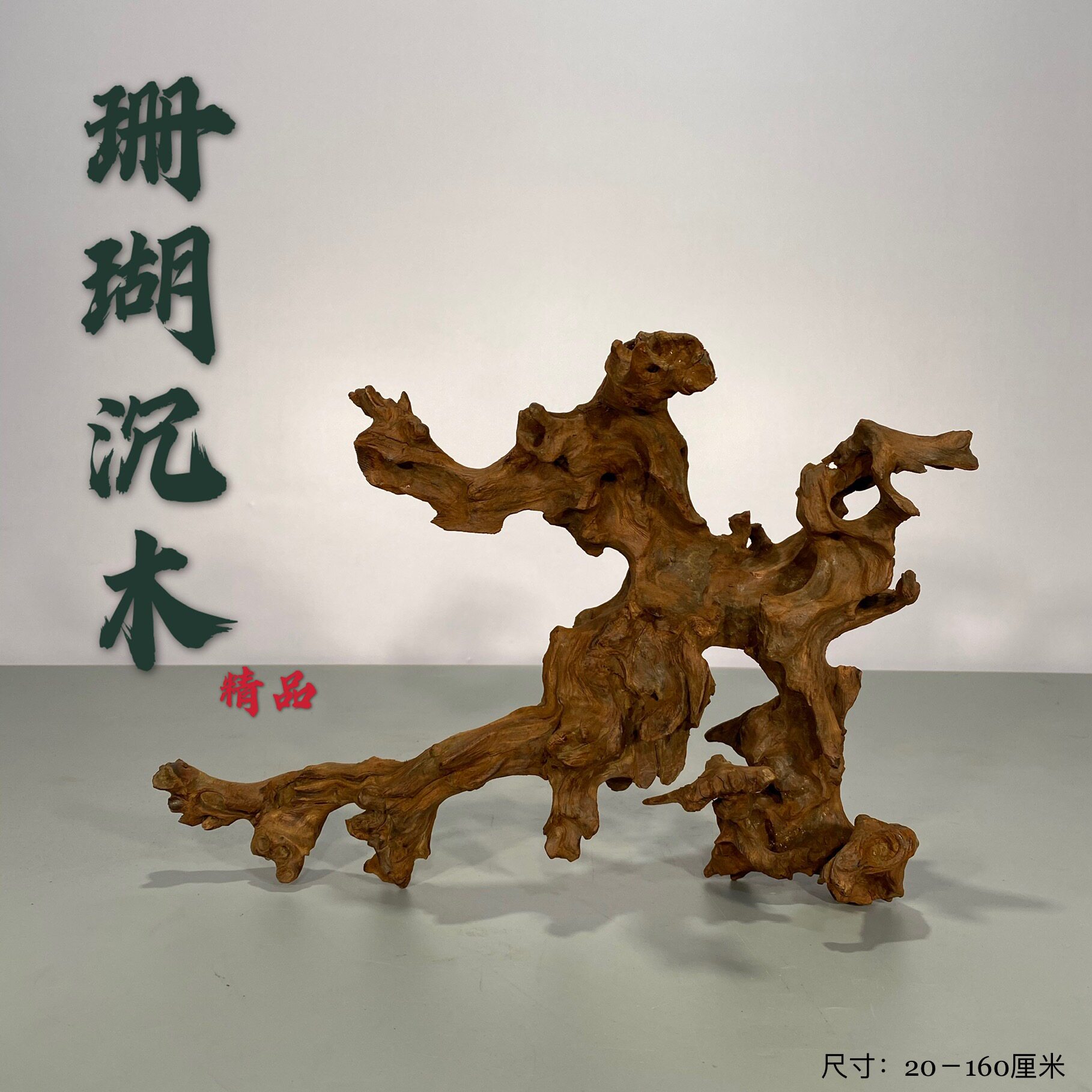 流木沉木图片下载 麦穗日记