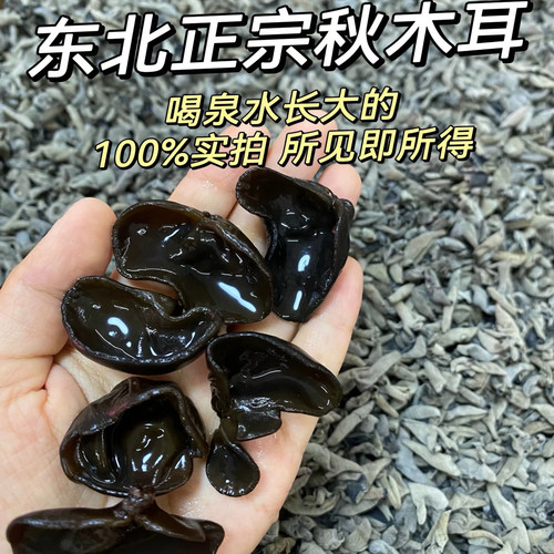 东北秋木耳肉厚无根泡发率高