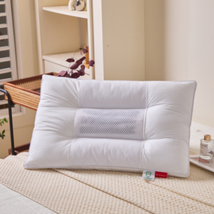 HomeShine/故园正品定型舒睡枕一对拍2下一对包邮