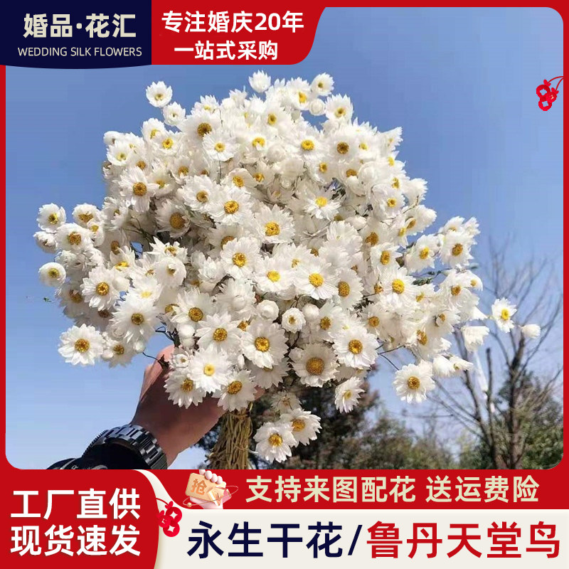 鲁丹鸟天然真花罗丹斯云南真干花家居装饰客厅ins北欧风野餐拍摄