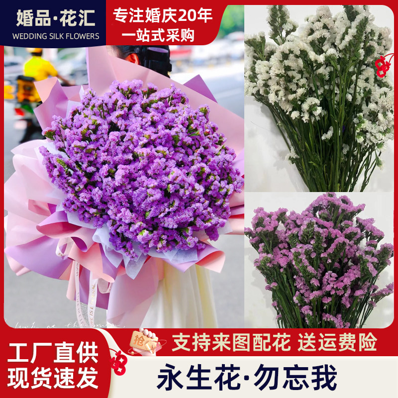 勿忘我永生花勿忘我干花小清新花束家居软装插花民宿用花拍摄道具