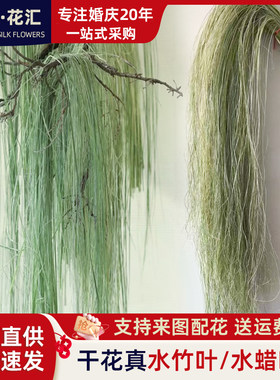 拉丝水蜡叶花材水烛叶丝干草花水竹叶丝垂吊垂挂型装饰材料婚庆花