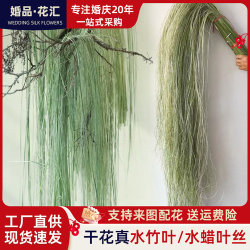 拉丝水蜡叶花材水烛叶丝干草花水竹叶丝垂吊垂挂型装饰材料婚庆花