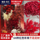 DIY红色系干花大全永生花贺卡年宵花植物画婚庆装 饰花软装 花艺