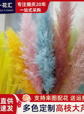 北欧风天然新品定制颜色直播间装饰阳台网红真花高级感造型大芦苇
