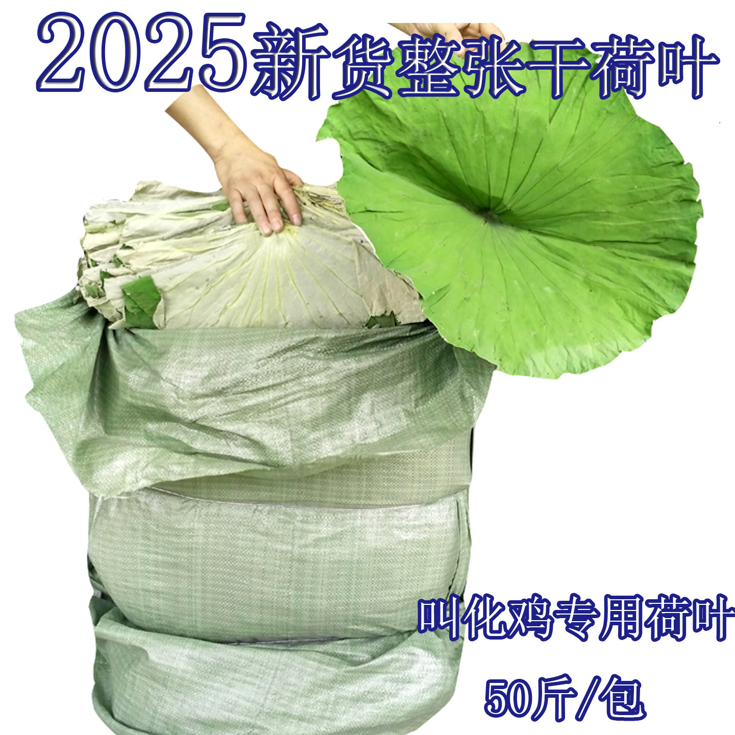 荷叶商用大张干荷叶糯米鸡荷叶鸡干荷叶整张批发酒坛荷叶茶荷叶饭