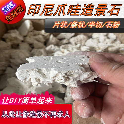 片状印尼爪哇石海缸造景石免爆藻死石培菌珊瑚缸代替活石开缸培菌